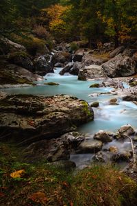 Preview wallpaper stream, stones, trees, grass, nature