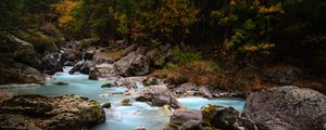 Preview wallpaper stream, stones, trees, grass, nature