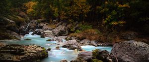 Preview wallpaper stream, stones, trees, grass, nature
