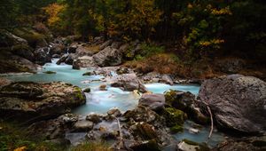 Preview wallpaper stream, stones, trees, grass, nature
