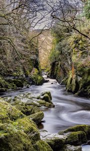 Preview wallpaper stream, stones, trees, nature, landscape, moss