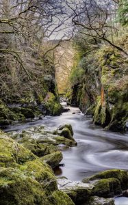 Preview wallpaper stream, stones, trees, nature, landscape, moss