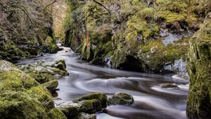 Preview wallpaper stream, stones, trees, nature, landscape, moss