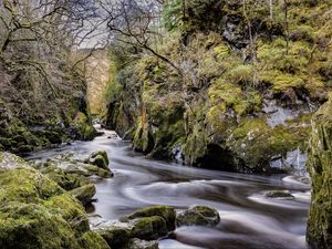 Preview wallpaper stream, stones, trees, nature, landscape, moss