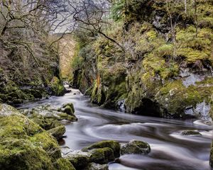 Preview wallpaper stream, stones, trees, nature, landscape, moss