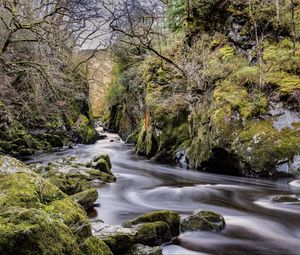 Preview wallpaper stream, stones, trees, nature, landscape, moss