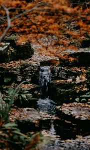 Preview wallpaper stream, stones, water, grass, moss