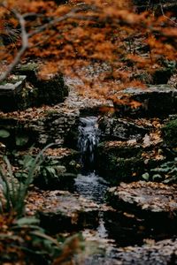 Preview wallpaper stream, stones, water, grass, moss