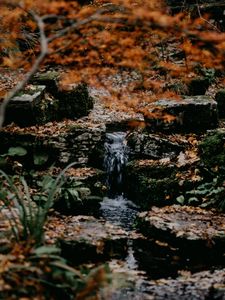 Preview wallpaper stream, stones, water, grass, moss