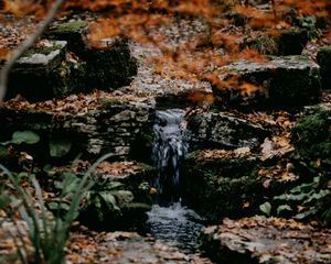 Preview wallpaper stream, stones, water, grass, moss