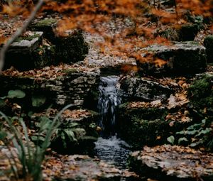 Preview wallpaper stream, stones, water, grass, moss