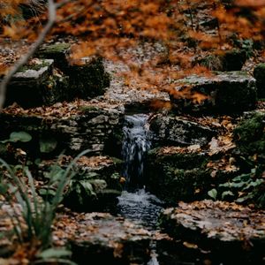 Preview wallpaper stream, stones, water, grass, moss