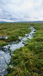 Preview wallpaper stream, stones, water, field, grass, nature