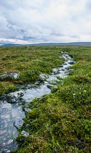 Preview wallpaper stream, stones, water, field, grass, nature