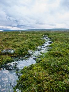 Preview wallpaper stream, stones, water, field, grass, nature