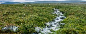 Preview wallpaper stream, stones, water, field, grass, nature