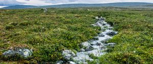 Preview wallpaper stream, stones, water, field, grass, nature