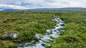 Preview wallpaper stream, stones, water, field, grass, nature