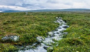 Preview wallpaper stream, stones, water, field, grass, nature