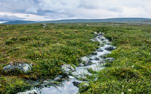 Preview wallpaper stream, stones, water, field, grass, nature