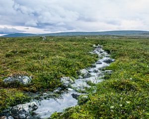 Preview wallpaper stream, stones, water, field, grass, nature