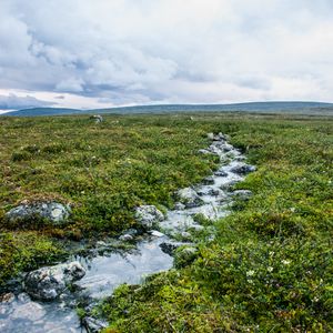 Preview wallpaper stream, stones, water, field, grass, nature