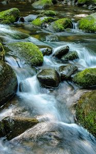 Preview wallpaper stream, stones, water, nature, moss