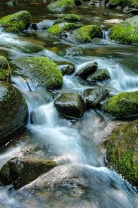 Preview wallpaper stream, stones, water, nature, moss