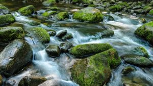 Preview wallpaper stream, stones, water, nature, moss