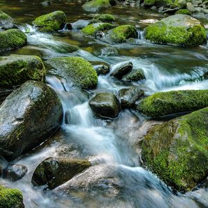 Preview wallpaper stream, stones, water, nature, moss