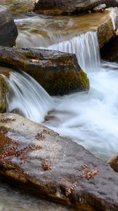 Preview wallpaper stream, stones, water, leaves, autumn