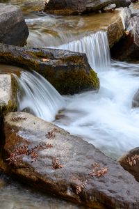 Preview wallpaper stream, stones, water, leaves, autumn