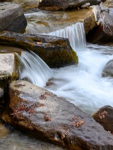 Preview wallpaper stream, stones, water, leaves, autumn