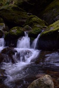 Preview wallpaper stream, stones, waterfall, moss, nature