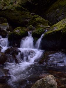 Preview wallpaper stream, stones, waterfall, moss, nature