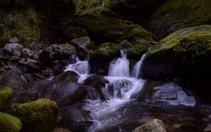 Preview wallpaper stream, stones, waterfall, moss, nature