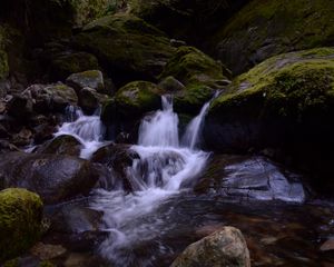 Preview wallpaper stream, stones, waterfall, moss, nature