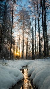 Preview wallpaper stream, sun, snow, trees