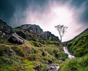 Preview wallpaper stream, tree, hills, grass, landscape