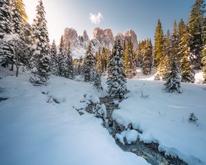 Preview wallpaper stream, trees, mountain, snow, winter