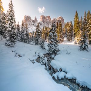 Preview wallpaper stream, trees, mountain, snow, winter