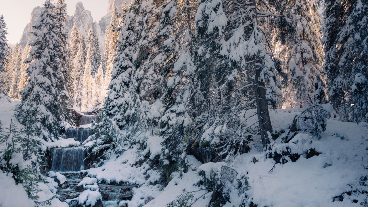 Wallpaper stream, trees, snow, winter, nature