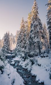 Preview wallpaper stream, trees, snow, winter, nature