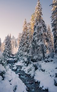 Preview wallpaper stream, trees, snow, winter, nature