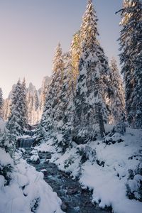 Preview wallpaper stream, trees, snow, winter, nature