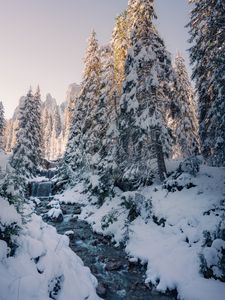 Preview wallpaper stream, trees, snow, winter, nature