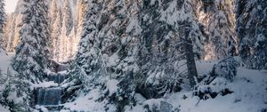 Preview wallpaper stream, trees, snow, winter, nature