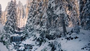Preview wallpaper stream, trees, snow, winter, nature
