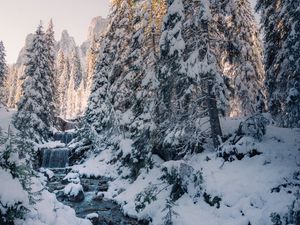 Preview wallpaper stream, trees, snow, winter, nature