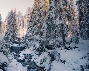 Preview wallpaper stream, trees, snow, winter, nature